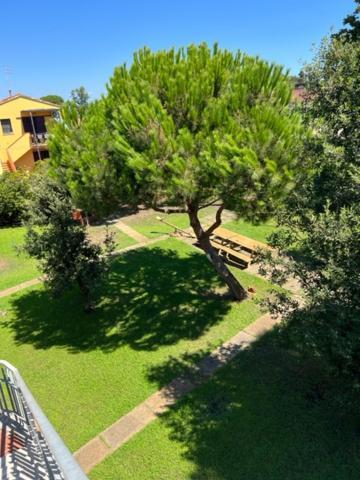 Complesso Oasi Tirrenia Exterior foto